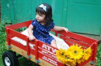 Precious Life Moments
