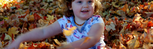 Precious Life Moments